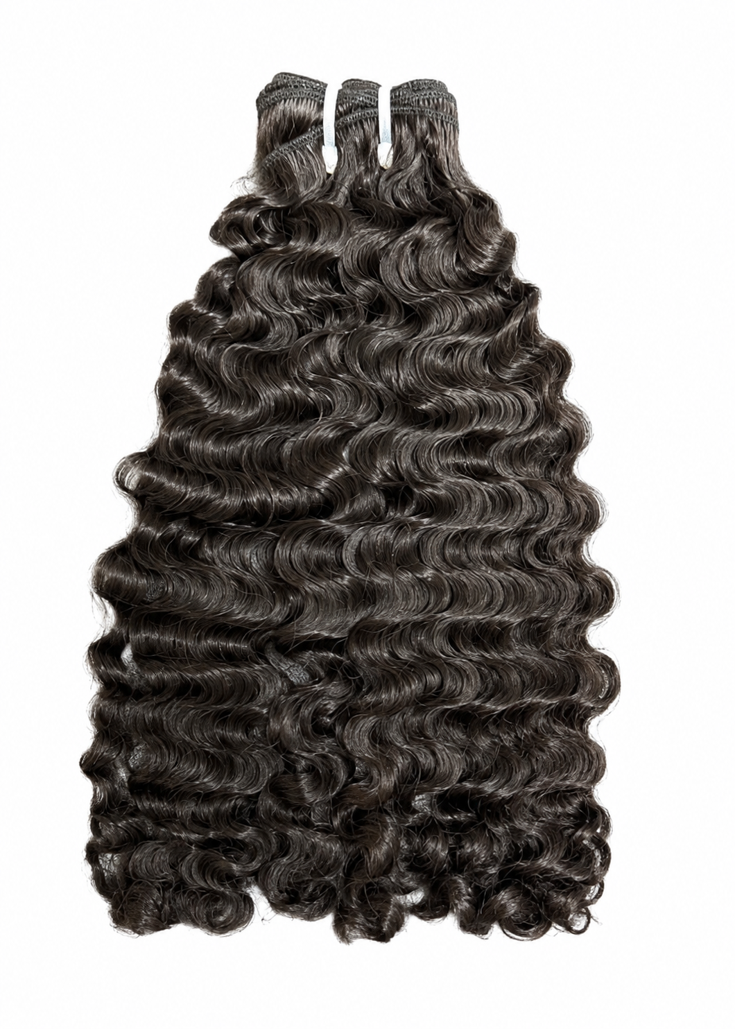 Burmese Curl